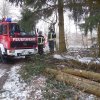 Weiterbildung Motorsäge